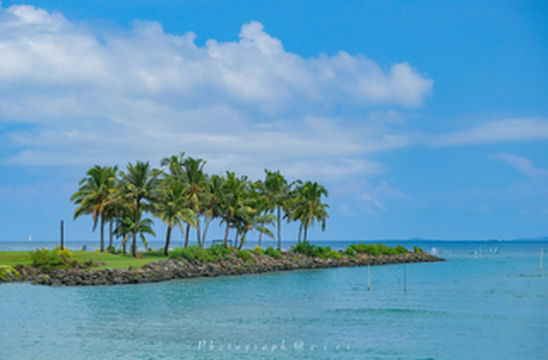 探寻斐济文化之旅，补回三年斐济时光（攻略｜文化）
