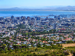 开普敦游记图片] 非洲旅游：走进南非观光之旅散记（图）下