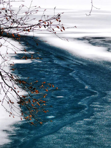 春游阿坝,一键解锁早春“隐藏款”→