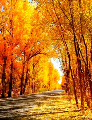 酒泉必打卡的7个景点及路线安排攻略|从敦煌文化到宇宙星辰