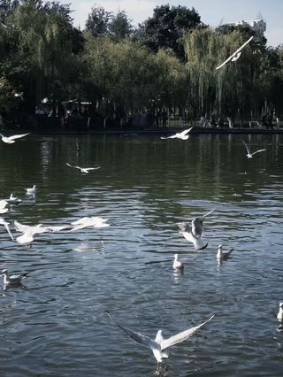 昆明冬天来就对了！