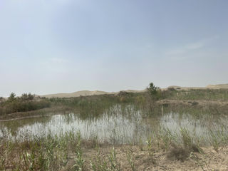 丝路楼兰,穿越南疆11日游之五