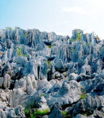 南陵游记图文-牡丹花开，春意盎然 —— 芜湖市南陵县丫山花海石林游记