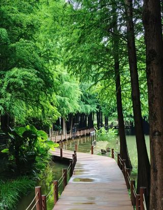 翠湖边必住神仙酒店🏨