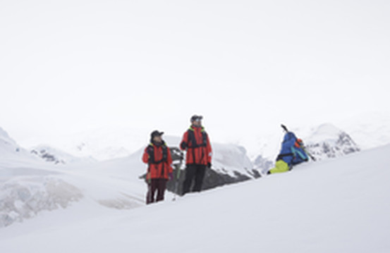 南极洲游记图片] 带孩子到南极怎么玩？