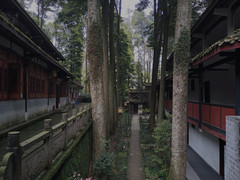 青城山前山景区及周边游记图片] 成都周边小众徒步地|青城前山景区0元畅游