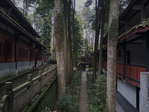 青城山前山景区及周边游记图文-成都周边小众徒步地|青城前山景区0元畅游