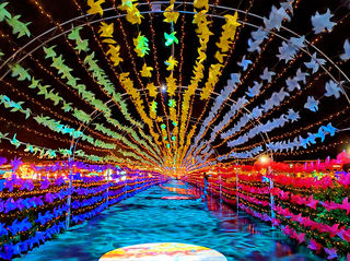 河北旅游：自驾丰宁童话草原度假记（图）