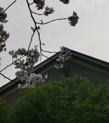 黄龙体育中心/浙江大学玉泉/西溪校区游记图文-浙大西溪和玉泉，美女配帅哥