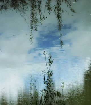 在昆明找到了会呼吸的森林🌲