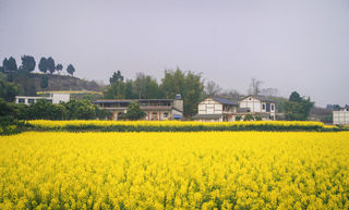 二天一夜自驾游大英,一起来看这些好风景,远不止“死海”
