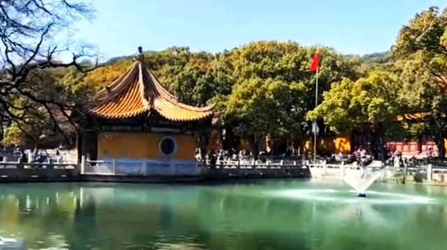 中国佛教四大名山之一 著名的观世音菩萨道场 普陀山三大寺院