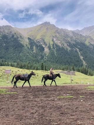 2023中国旅行日记_夏末伊犁