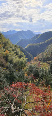 四明山栖霞壶潭古道纪行