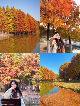 果然岛外更具性价比，赏落羽杉的同时，园博苑周边这家餐厅别错过