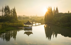 沙家浜风景区游记图片] 金秋，走进水乡沙家浜