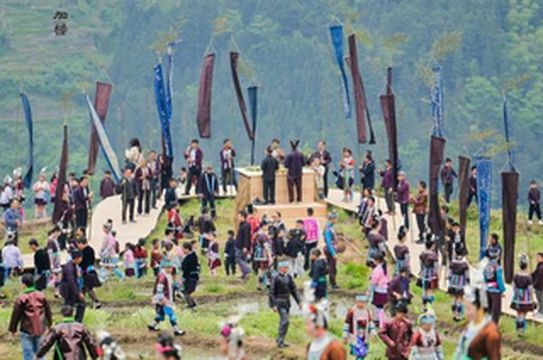 2025加榜梯田开秧门暨首届加榜“T”田秀圆满举行