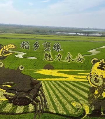 垦利城区游记图文-垦利一日游