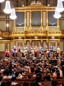 奥地利游记图片] 2024年6月“醉美东欧.经典五国联游德捷斯匈奥12天” 跟团游游记（四）奥地利