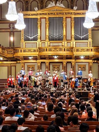 2024年6月“醉美东欧.经典五国联游德捷斯匈奥12天” 跟团游游记（四）奥地利