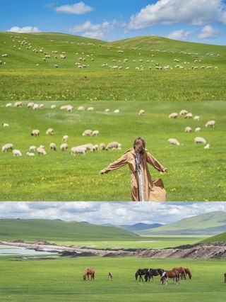 呼伦贝尔大草原攻略—亲子游自由行