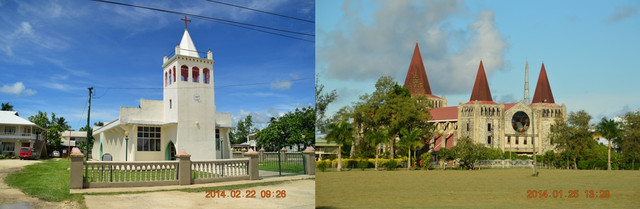 汤加生活半年记