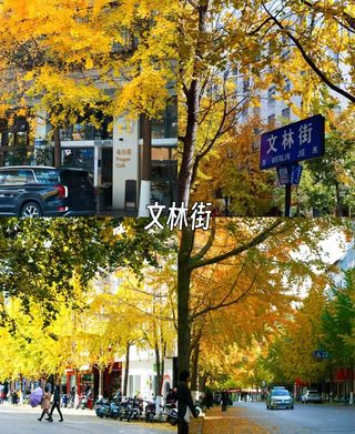 昆明的秋，是打翻了调色盘的童话🍂