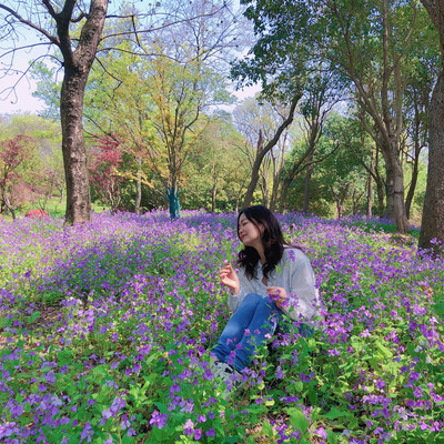 烟花三月下扬州-最美的季节游玩攻略