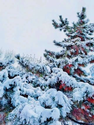 菏泽的冬天就是这样与众不同~