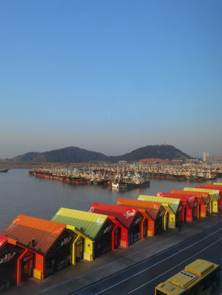 2025夫妻自驾随性游第十二站：舟山-普陀山