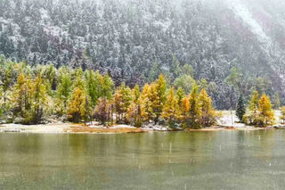 彩林逢初雪！毕棚沟2025“花样遛娃”徒步活动收获满满！