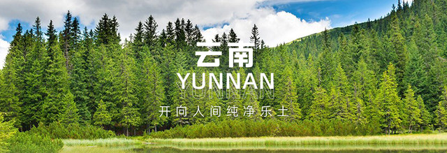 【云南】开往人间纯净乐土,邂逅苍山洱海的和风暖阳!