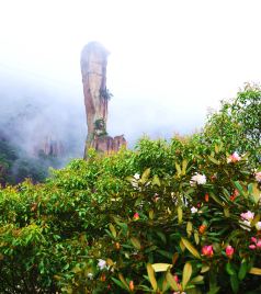 玉山游记图文-中国最有仙气的山，当下杜鹃盛开，漫山鲜艳