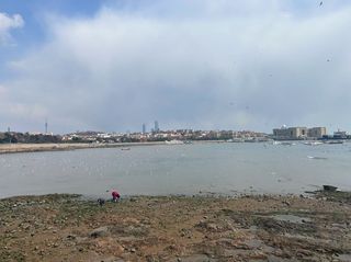 《青岛24小时海岛纪事｜2000元住进独栋别墅，从日出到星辰每个细胞都被海治愈》