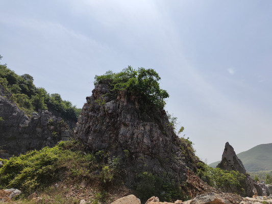 太湖石博览园，赏石未成的遗憾