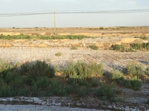 若羌游记图片] 201607疆行记第一季（下）