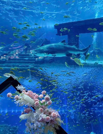 昆明融创海世界游玩 承包你的快乐假期!🐠