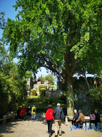 镇江游记图片] 2023年兄弟姐妹江苏游——镇江北固山