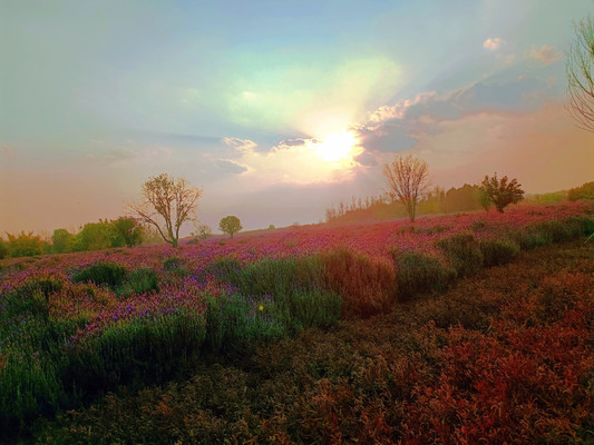 夜骑的暗与光：如何在夜色中解锁骑行新境界？