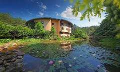 连城游记图片] 三天两晚避暑狂欢！泛舟游湖+扎染+萌宠喂食，水上飞人、冠豸山探险…玩到不想回家