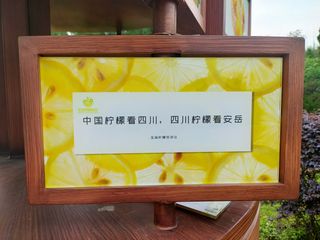 来安岳，游柠檬之乡，阅千年佛国