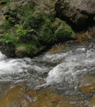 万盛商业中心区游记图文-重庆万盛这个大山谷，夏季游玩避暑的好地方，竟还是个5A级景区