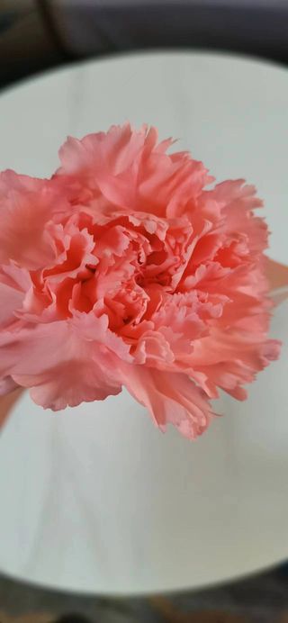 暖心女神节-商城蓝海之行