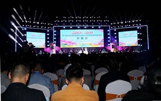 桃花源里向美而行——第三届常德市旅发大会暨2024年桃花源文旅节重磅来袭