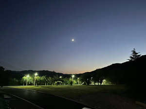 邹平游记图文-漫步自然   享受美景