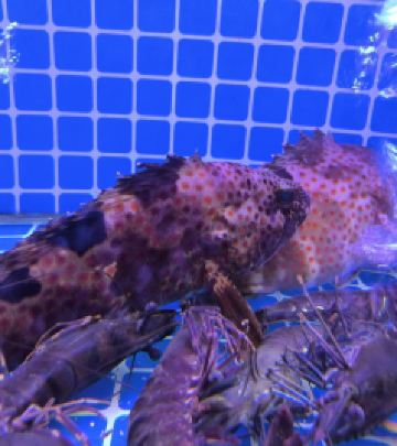 深圳国际会展中心商圈游记图文-深圳一日游：偶遇峪园酒家，潮汕美食的邂逅