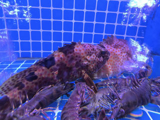 深圳一日游：偶遇峪园酒家，潮汕美食的邂逅