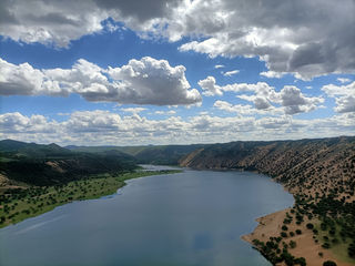 草原最美的花，火红的萨日朗——乌兰布统大草原