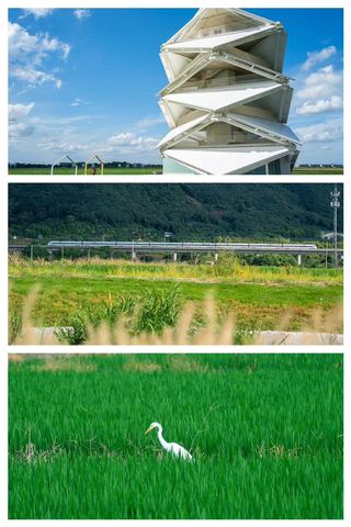 宁波｜秋风起，去万亩良田间漫步吧！