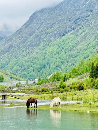 川西又给你找到两个免门票露营的小众景点